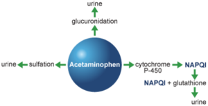 ipamorelin uses side effects Side effects of Ipamorelin_Chemicalbook
